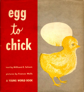 Egg to Chick