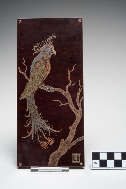 An example of a stenogravure of a parrot. Plastics Artifacts Collection.