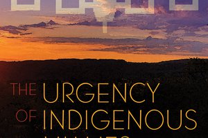 Book cover of  The Urgency of Indigenous Values