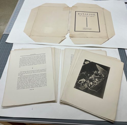 Banalite book cover