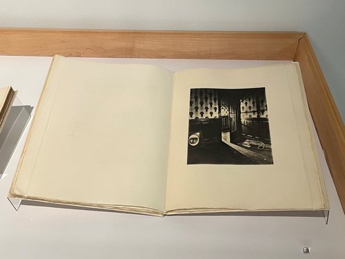 Banalite book