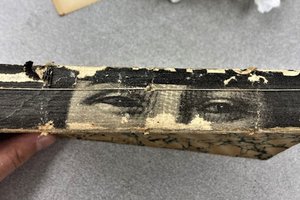 Eyes on the spine of a distressed book