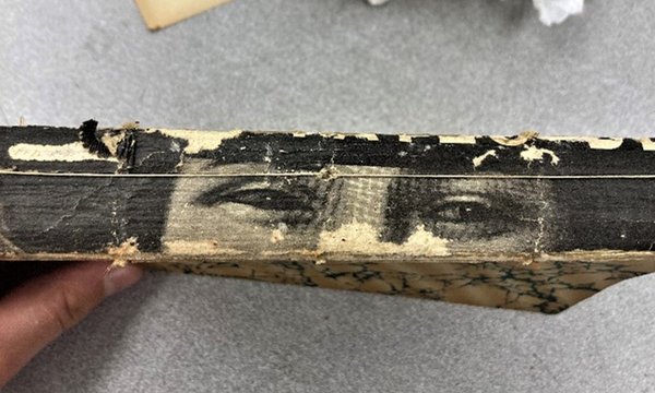 Eyes on the spine of a distressed book