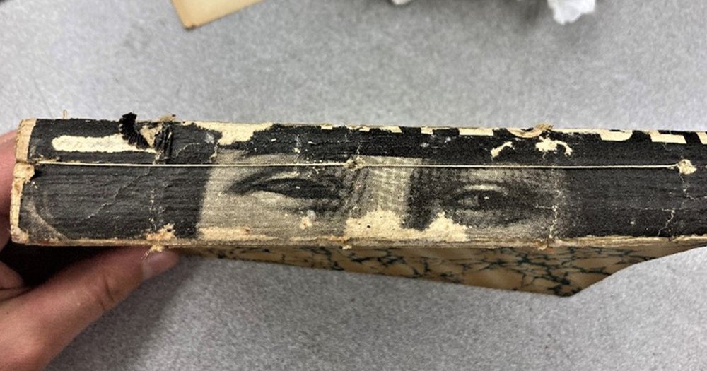 Eyes on the spine of a distressed book