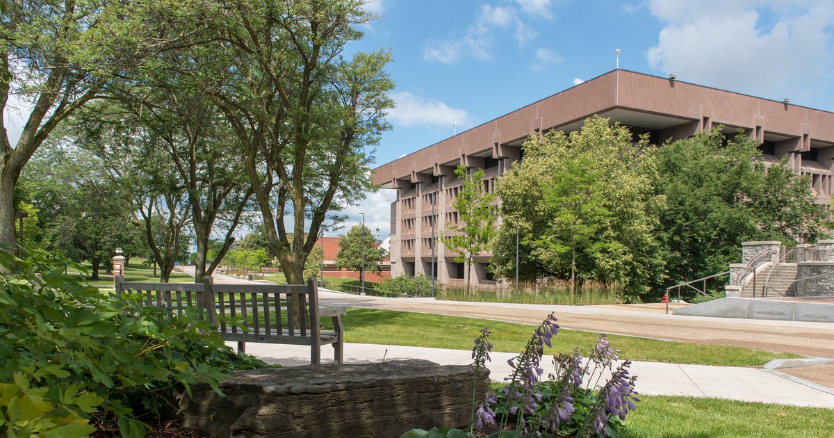 Bird Library with trees and hostas blooming