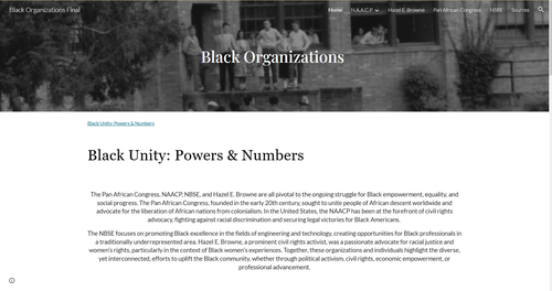 Black_Orgs_Screenshot