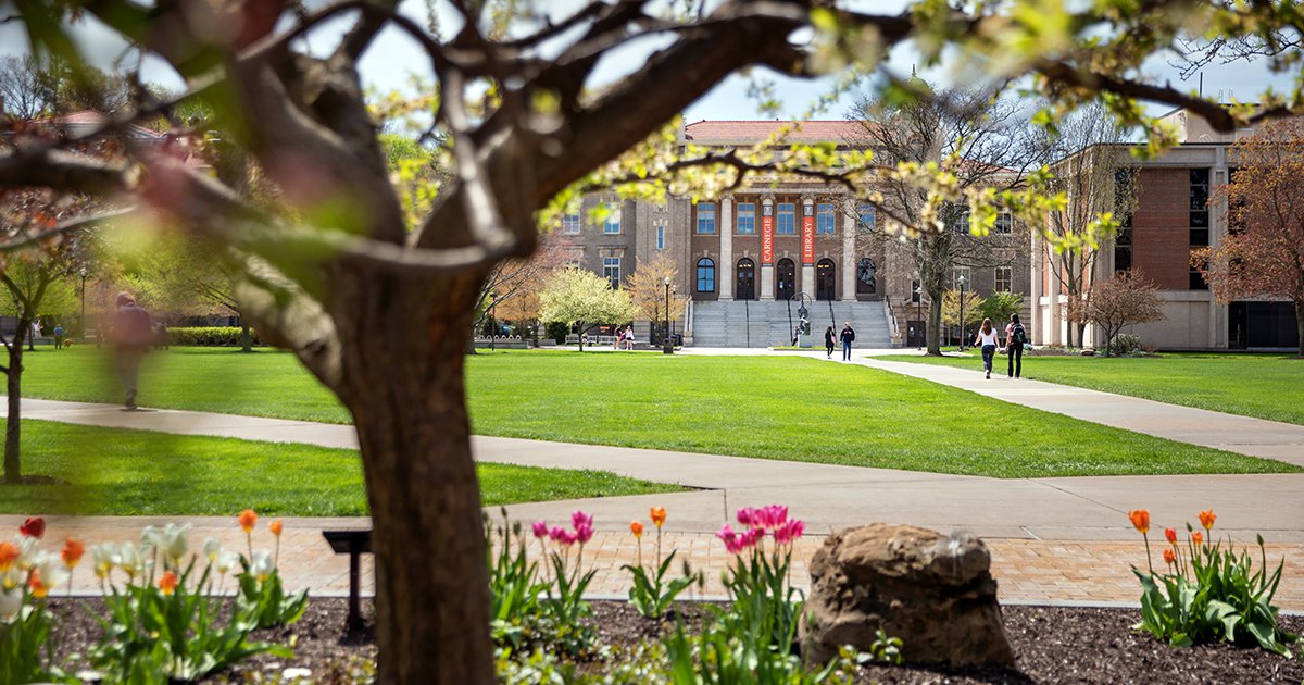 Carnegie Library with pink, orange and yellow tulips and budding tree