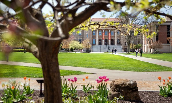 Orange, pink and red tulips and budding trees growing in front of walkways to Carnegie Library