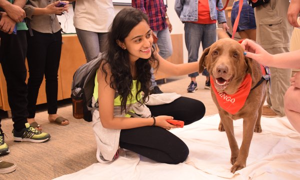 student petting therapy dog