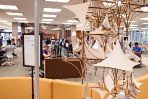 Homo-Symbiosis Display in Bird Library