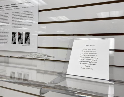 description of items in display case