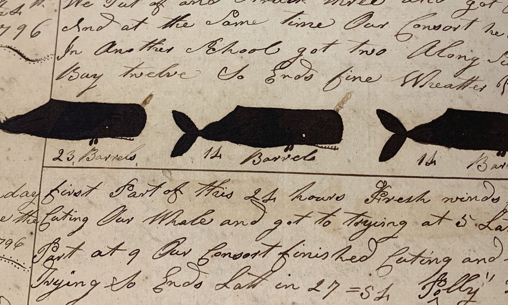 Ink drawings of whales with the unit of measurement “barrels,” in this case oil. Barzillai Pease Journals.