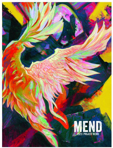 colorful abstract bird drawing with colors in background and title "Mend" in lower corner