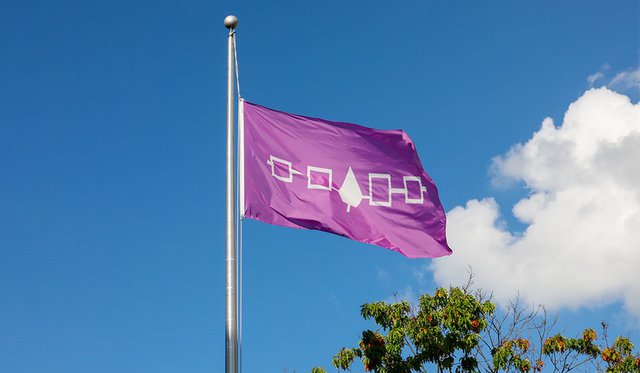 Purple Haudenosaunee flag flying in front of a blue sky with one fluffy cloud and the top of a green tree