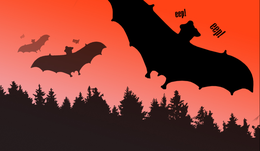 Red poster with black bats flying over woods
