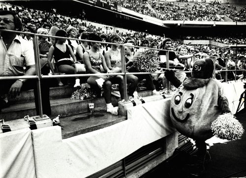 Otto the Orange mascot mingling with Syracuse University fans and cheerleaders at a game, 1982. Syracuse University Photograph Collection