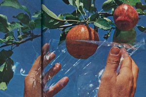 “Perfect pair. The ripe perfection of a juicy red apple, protected by Polyflex film from tree to market.” Opening Gun of a Revolution in Packaging...The Story of Monsanto’s Packaging Division, circa 1963, Eugene F. Phillips Papers, Special Collection