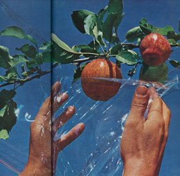 two hands holding plastic wrap in front of apples on a tree