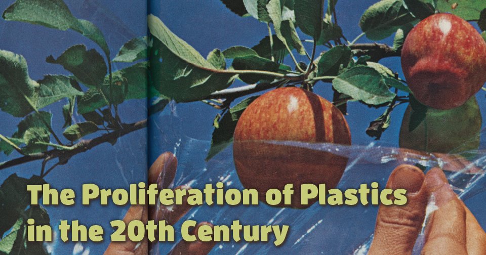 hands reaching for orange on tree with Saran Wrap. Words read "The Proliferation of Plastics in the 20th Century"