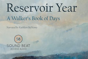 Reservoir Year cover photo
