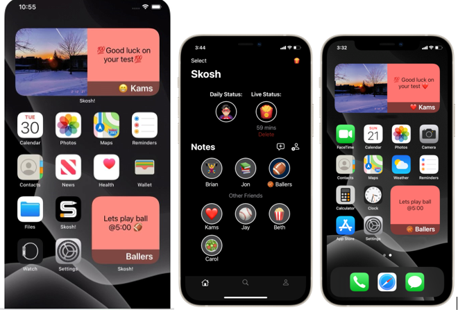 SKosh! interface