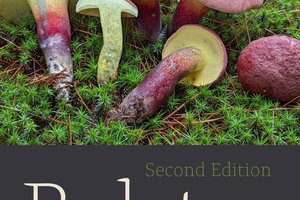 cover of Boletes with picture of mushroom