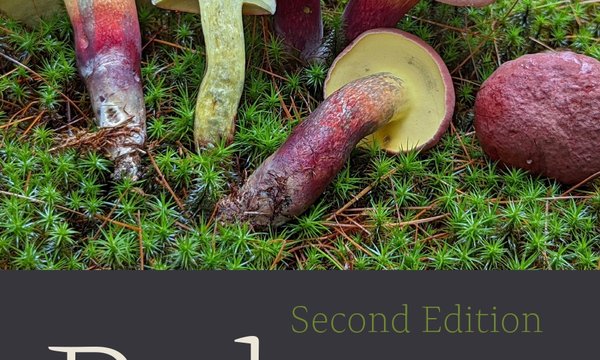 cover of Boletes with picture of mushroom