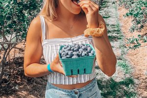 Samantha Jezak eats blueberries at a farm