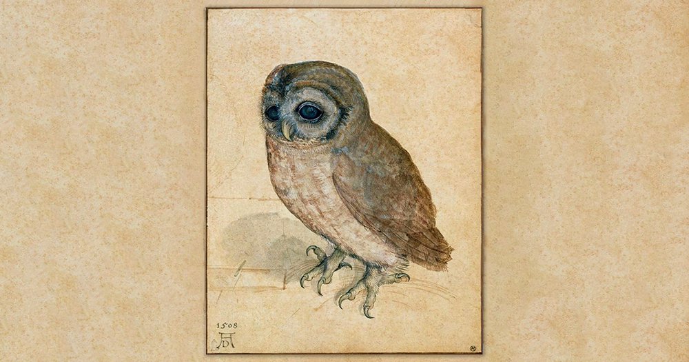 illustration of owl on a weathered paper background