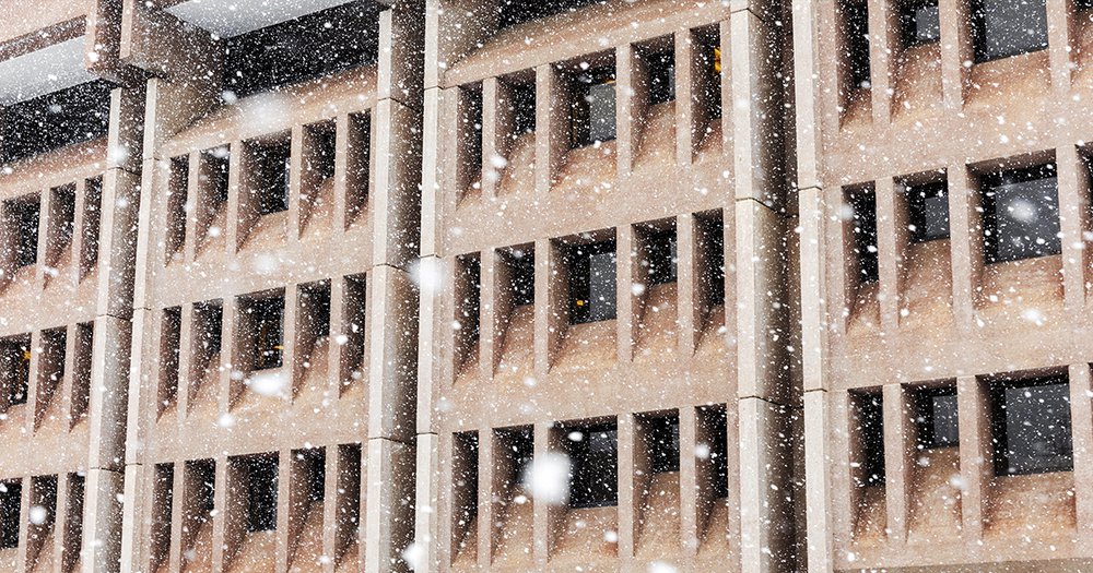 Snow in front of Bird Library