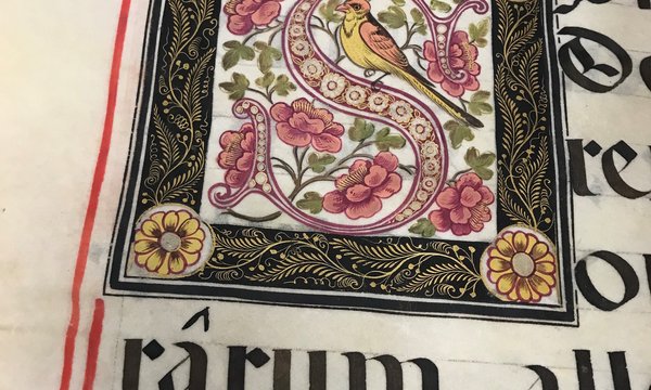 SCRC new acquisitions, recent donations and freshly available material, Jan. 2019