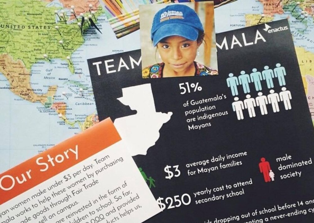Team G flyer includes some statistics