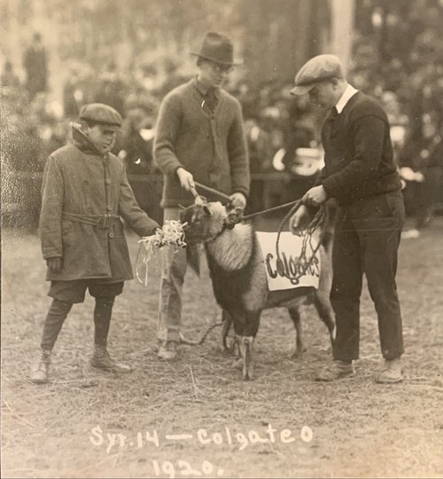 Vita the Goat, seen here among her handlers during a game against Colgate. Syracuse University Photograph Collection.