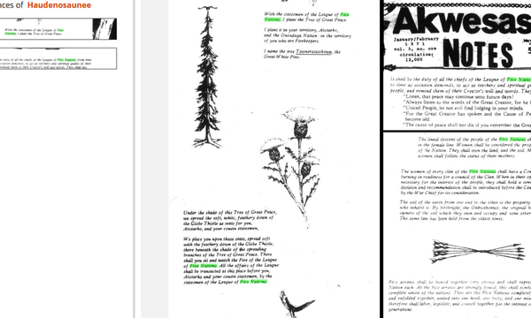 screen shot of primary source material