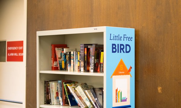 video of Little Free Bird bookshelf in Bird Library