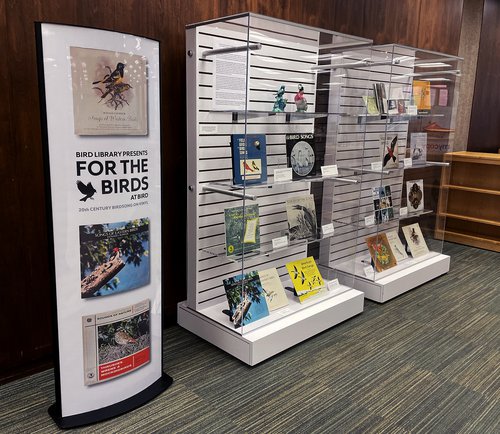 display poster on left and two glass cases with album covers featured on right