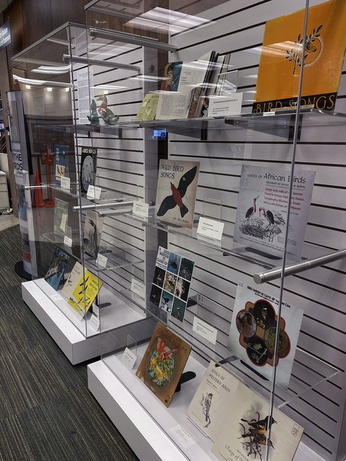 glass display cases featuring bird album covers and descriptions