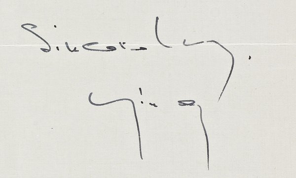 signature of Ying Li