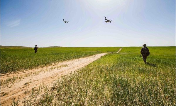 blue sky with birds, dirt road and grass on either side
