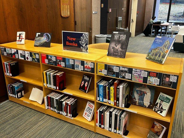 book shelf with books and sign that reads "New Books"