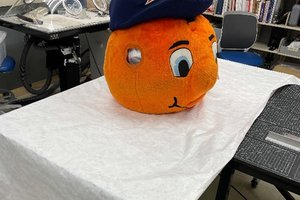 head of otto the orange mascot on table with paper below it