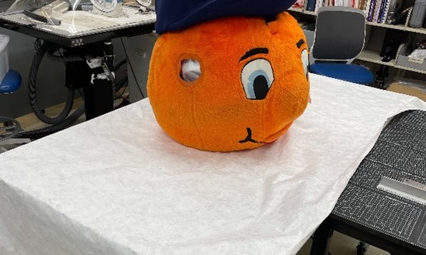 head of otto the orange mascot on table with paper below it