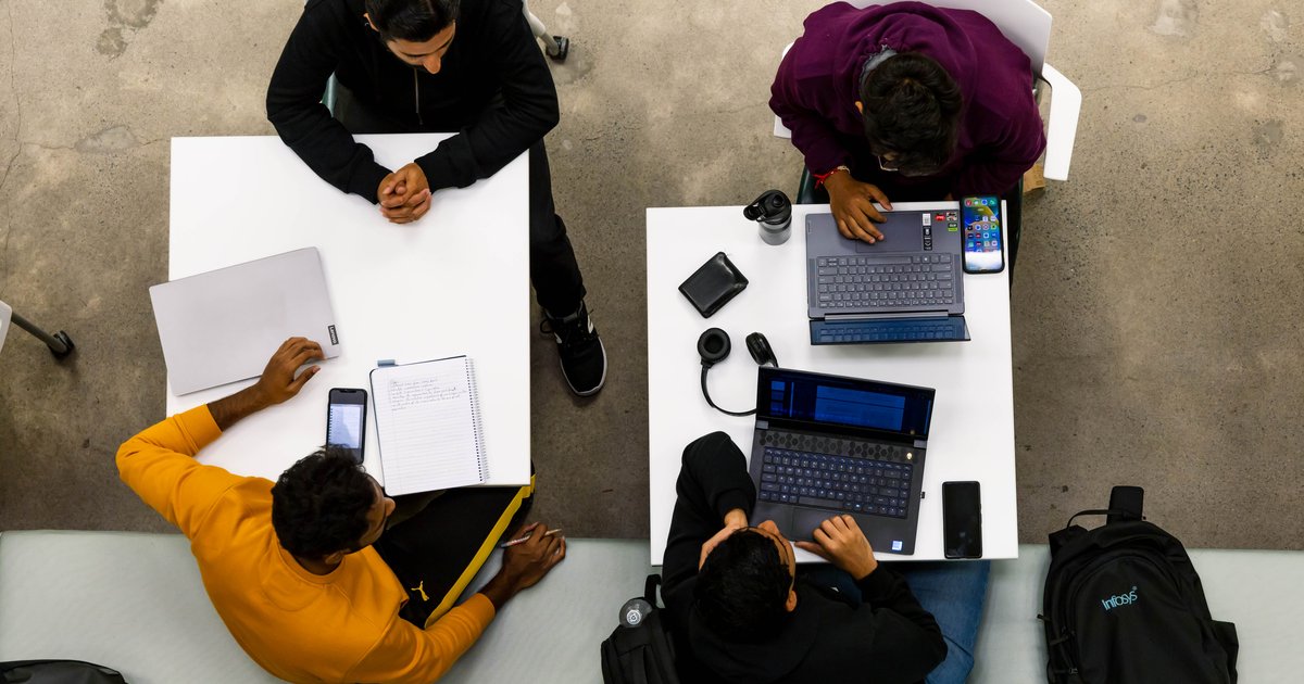 students working in Bird Library