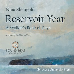 Book cover for Reservoir Year